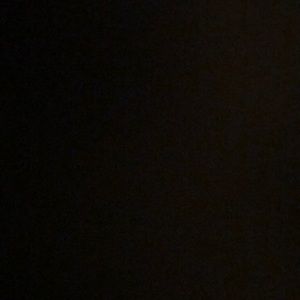 Meet your Posher, Lily